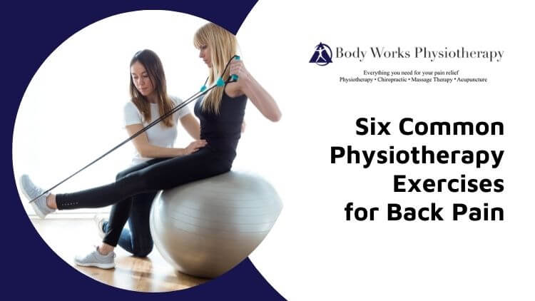 Six Common Physiotherapy Exercises for Back Pain